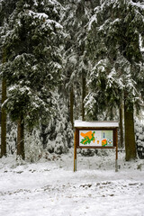 Map on a wooden board in the forest with snow