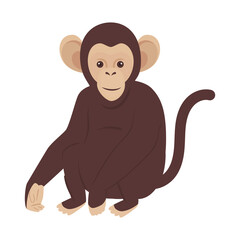 african monkey animal wild character vector illustration design