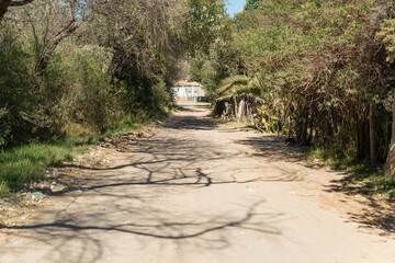 camino de terracería, entre arboles verde dirección a una casa al aire libre en tarde soleada y...