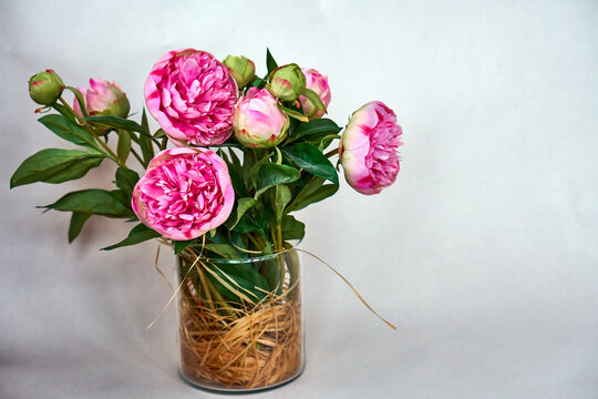 Pink peonies. in a glass vase with decorative hay inside. Place for text bouquet with flowers. High quality photo