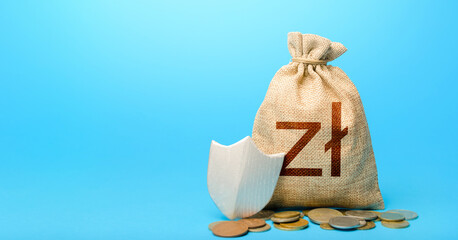Polish zloty money bag and protection shield. Guarantee protection savings and investments. Secured loan. Avoiding loss of funds during inflation. Financial instruments. Ease doing business.