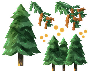 スギの木　水彩風