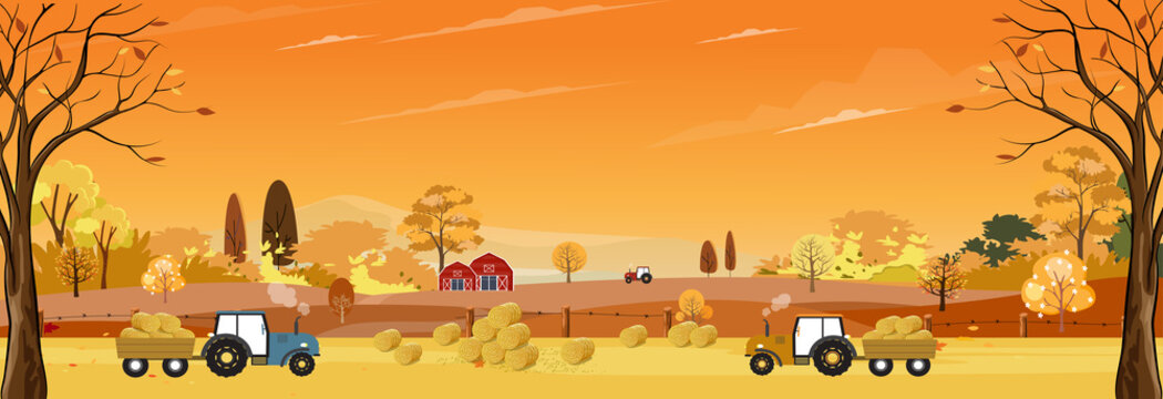 Autumn Landscaps With Harvest Fram Fields, Tractor,wooden Barn On Hills, Natural Foliage Background In Fall Seson With Panoramic View Of Eco Village With Grass Land In Sunny Day