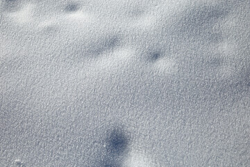 Just snow and white everywhere