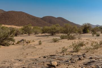 Landscape along the Kunene River in the north of Namibia