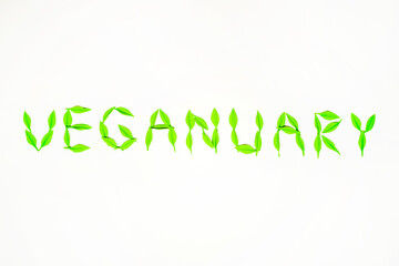 Veganuary banner. Vegetarian diet month. Green leaves letters isolated. Eco friendly. 