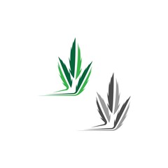 Fototapeta na wymiar Cannabis leaf logo design vector template
