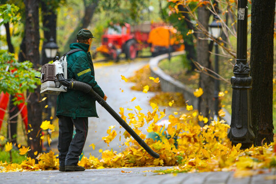 Seasonal work by city utilities in the park. A worker with a motorized backpack blower blows fallen leaves off a park path.