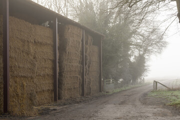 Hay barn storing winter fodder. A foggy winters day.