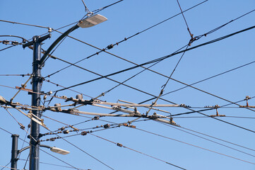 Complicated electrical network, including powering trolleybuses. Vancouver. Canada.