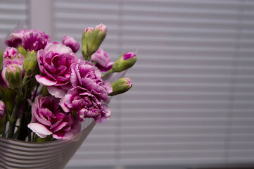 bouquets of pink flowers on a gray background blinds.mother's day, valentine's day, knowledge day, women's day.