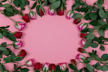 Roses on pink background February 14 Valentine's Day