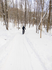 Winter Fat-bike