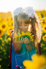 Little girl looks at a sunflower in her hands in a field of sunflowers