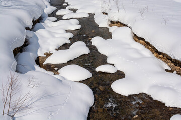 早春の雪解けの沢
