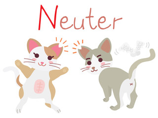 地域猫TNRの説明イラスト　Neuter