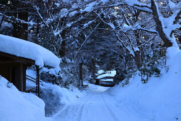 世界遺産　冬の平泉中尊寺