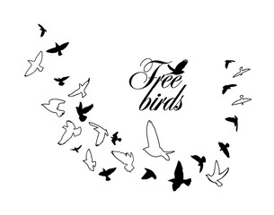 A flock of flying birds. Vector illustration