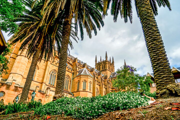 Fototapeta premium Australia, Sydney, the St Mary's Cathedral