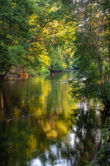 Photo of the Edisto River near Orangeburg, SC with beautiful lighting and reflections on the water in the late spring