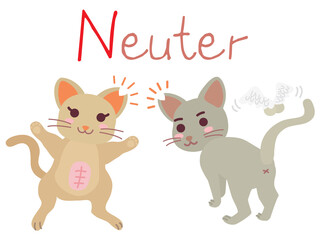 地域猫TNRの説明イラスト　Neuter