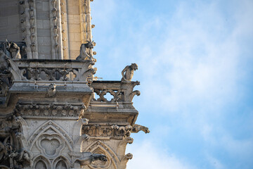 Fototapeta na wymiar Detail photographs of notre dame cathedral, gargoyles and statues