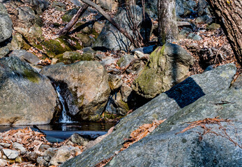 Small stream in rugged wilderness.