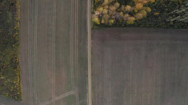 Satisfying downward view of agriculture field with straight dirt road