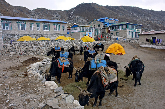 Alojamento na Cordilheira do Himalaia. Nepal. Asia