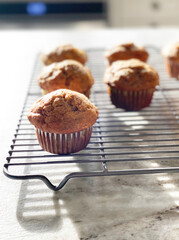 High key image of home baked muffins cooling on countertop