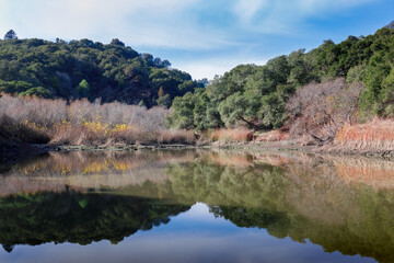 Fototapeta na wymiar Morning views of Waterdog Lake Park in Belmont, San Mateo County, California, USA