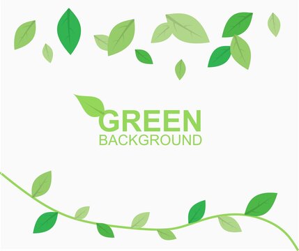 design about green background illustration with leaves