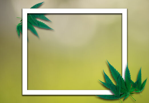 Marijuana leaf green with frame note paper nature orientation concept
