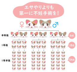 Obraz premium 地域猫TNRの説明イラスト エサやりより不妊手術