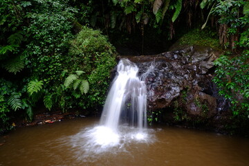 Wonderful waterfall in the jungle