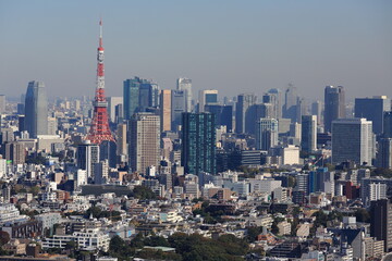 Fototapeta premium 東京のランドマークタワーと林立する高層ビル群