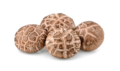 Shiitake Mushrooms isolated on white background