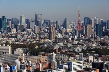 閑静な広尾の住宅街と東京のランドマークタワー