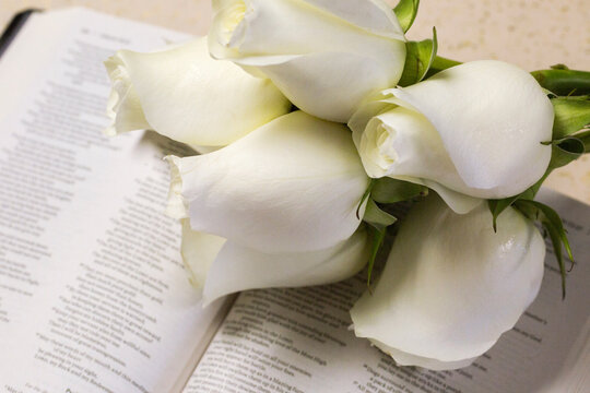 White Roses on an Open Bible
