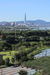 green belt,  contrast of city, seoul, south korea