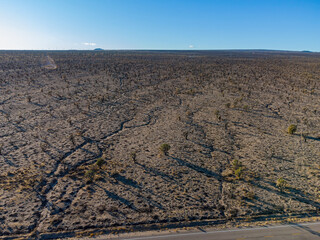 Aerial view of many joshua tree in rural land