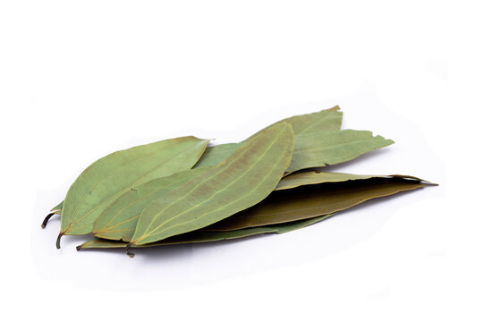 bay leaf