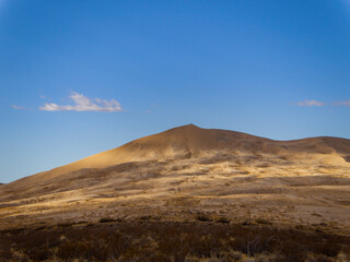 Sunny view of the beautiful Kelso Dunes