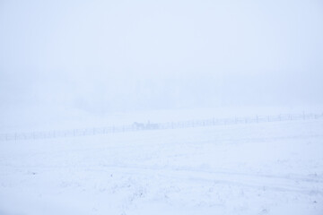 Fototapeta na wymiar Foggy winter day . Snowy hills in the village . One horse open sleigh