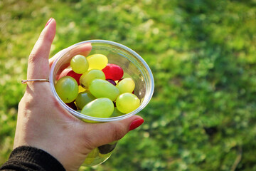 Hand Holding Grapes