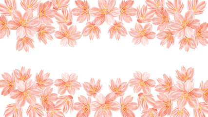 桜の花の水彩手書き背景フレーム