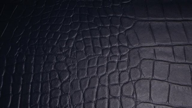 The texture of the black skin of the animal extra close up. Real leather. Natural material background