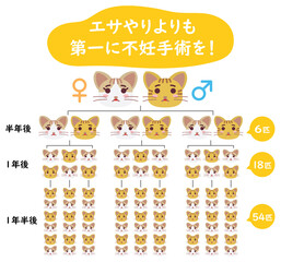 地域猫TNRの説明イラスト　エサやりより不妊手術