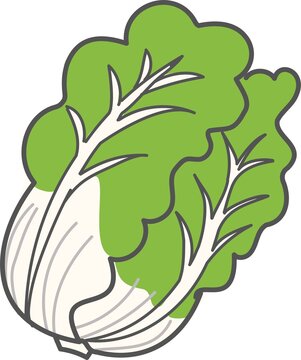 3 037 Best 冬野菜 Images Stock Photos Vectors Adobe Stock 3 037 Best 冬野菜 Images Stock Photos Vectors Adobe Stock