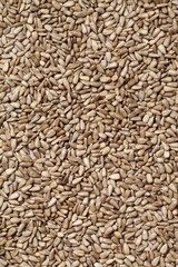 sunflower seeds on rustic background